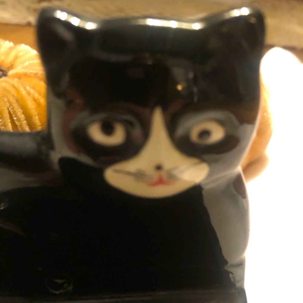 Adorable Cat 🐈‍⬛ ceramic - wall hanger
